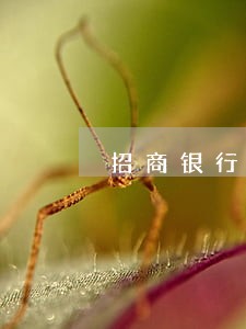 招商银行信用卡逾期会被打电话
