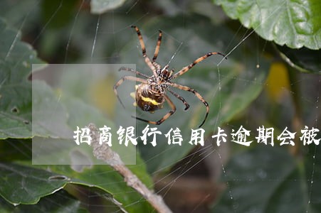 招商银行信用卡逾期会被诉讼吗 招商银行信用卡逾期会被诉讼吗