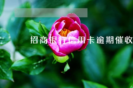 招商银行信用卡逾期催收过程 招商银行信用卡逾期催收过程