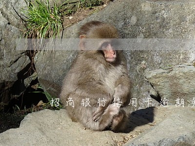 招商银行信用卡逾期免息 招商银行信用卡逾期免息