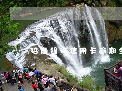 招商银行信用卡逾期全部还清