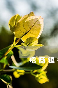 招商银行信用卡逾期几次上征信