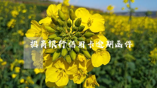 招商银行信用卡逾期函件