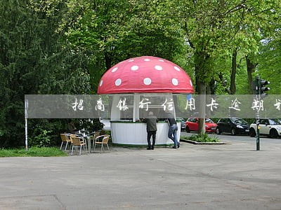 招商银行信用卡逾期划扣 招商银行信用卡逾期划扣