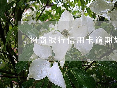 招商银行信用卡逾期划扣储蓄卡 招商银行信用卡逾期划扣储蓄卡