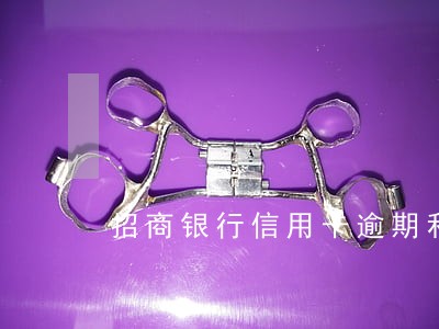 招商银行信用卡逾期利息好高