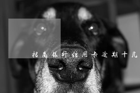 招商银行信用卡逾期十几万 招商银行信用卡逾期十几万