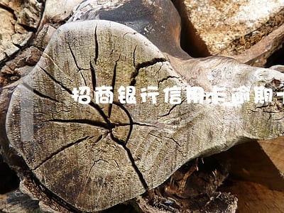 招商银行信用卡逾期十年怎么查 招商银行信用卡逾期十年怎么查