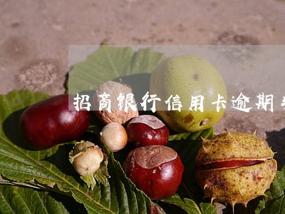 招商银行信用卡逾期半年以上 招商银行信用卡逾期半年以上