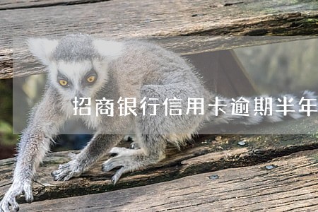 招商银行信用卡逾期半年后果 招商银行信用卡逾期半年后果