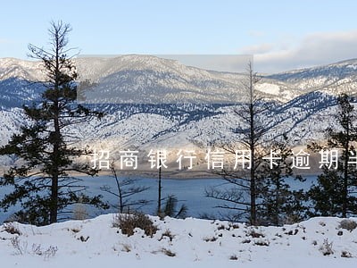 招商银行信用卡逾期半月打电话