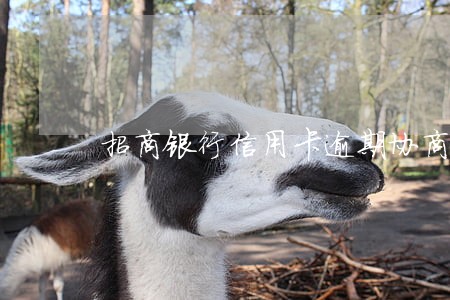 招商银行信用卡逾期协商真难吗 招商银行信用卡逾期协商真难吗