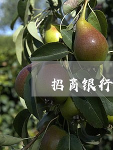 招商银行信用卡逾期协议还款 招商银行信用卡逾期协议还款