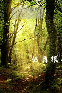 招商银行信用卡逾期卡止付