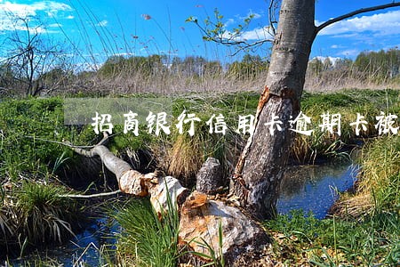 招商银行信用卡逾期卡被冻结 招商银行信用卡逾期卡被冻结