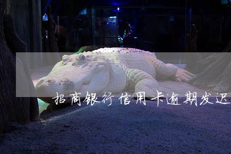 招商银行信用卡逾期发迟交函 招商银行信用卡逾期发迟交函