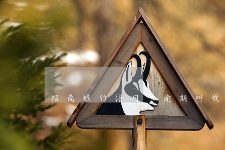 招商银行信用卡逾期叫我回家 招商银行信用卡逾期叫我回家