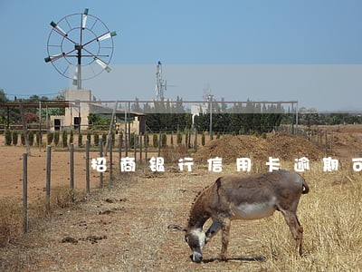 招商银行信用卡逾期可以减免