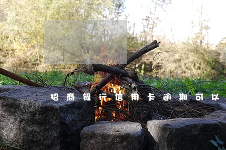 招商银行信用卡逾期可以分期吗 招商银行信用卡逾期可以分期吗
