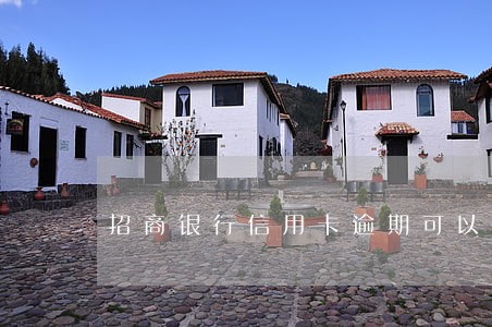 招商银行信用卡逾期可以撤销吗 招商银行信用卡逾期可以撤销吗