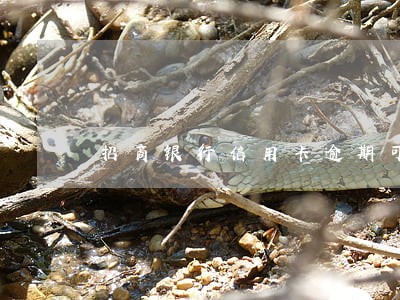 招商银行信用卡逾期可以贷款吗 招商银行信用卡逾期可以贷款吗
