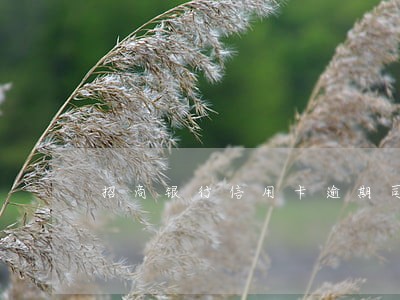 招商银行信用卡逾期司法程序 招商银行信用卡逾期司法程序
