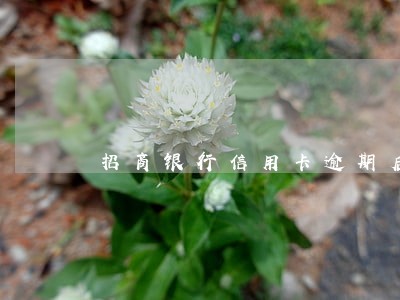 招商银行信用卡逾期后多久会冻 招商银行信用卡逾期后多久会冻