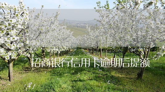 招商银行信用卡逾期后提额 招商银行信用卡逾期后提额