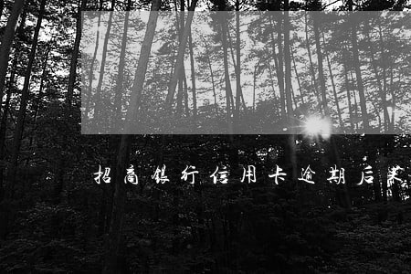 招商银行信用卡逾期后果 招商银行信用卡逾期后果