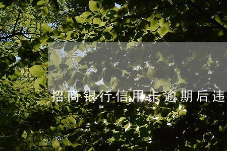 招商银行信用卡逾期后违约金 招商银行信用卡逾期后违约金