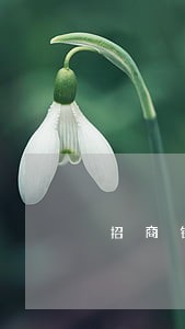 招商银行信用卡逾期咨询