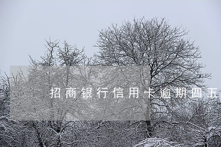 招商银行信用卡逾期四五个月 招商银行信用卡逾期四五个月