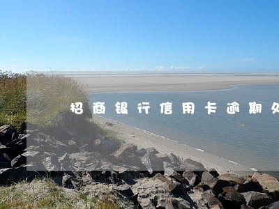 招商银行信用卡逾期处理程序 招商银行信用卡逾期处理程序