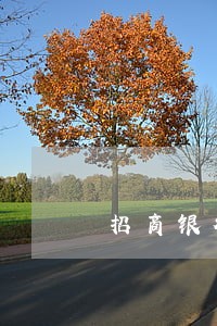 招商银行信用卡逾期多久上诉 招商银行信用卡逾期多久上诉