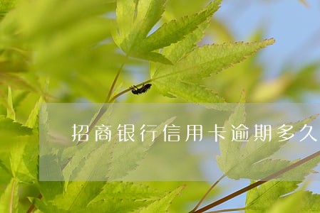 招商银行信用卡逾期多久会催收 招商银行信用卡逾期多久会催收