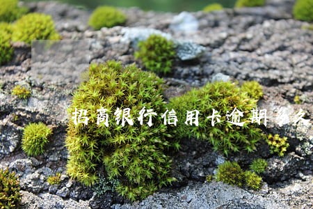 招商银行信用卡逾期多久会消 招商银行信用卡逾期多久会消
