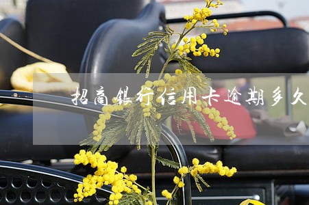 招商银行信用卡逾期多久会立案 招商银行信用卡逾期多久会立案