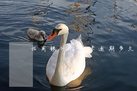 招商银行信用卡逾期多久到法务部 招商银行信用卡逾期多久到法务部