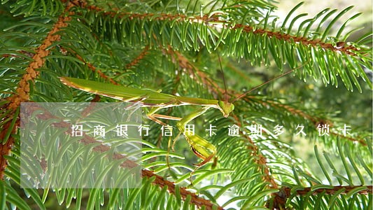 招商银行信用卡逾期多久锁卡