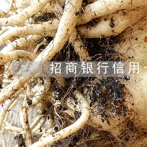 招商银行信用卡逾期多长时候起 招商银行信用卡逾期多长时候起