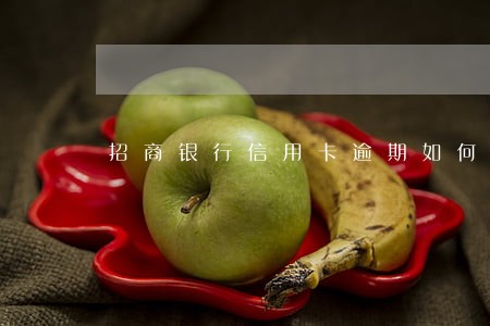 招商银行信用卡逾期如何处理 招商银行信用卡逾期如何处理