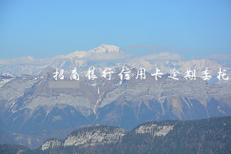 招商银行信用卡逾期委托方 招商银行信用卡逾期委托方