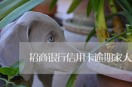 招商银行信用卡逾期家人替还 招商银行信用卡逾期家人替还
