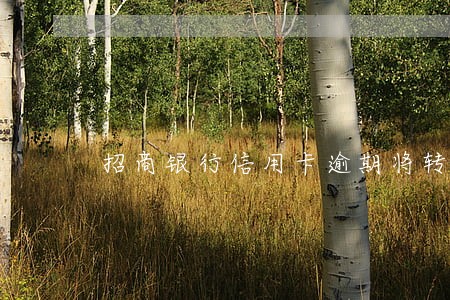 招商银行信用卡逾期将转法务部 招商银行信用卡逾期将转法务部