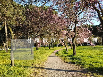 招商银行信用卡逾期已冻结 招商银行信用卡逾期已冻结