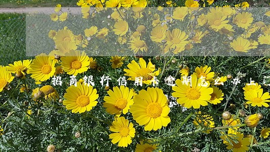 招商银行信用卡逾期怎么办上门