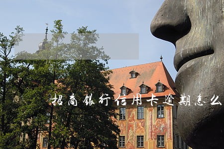 招商银行信用卡逾期怎么提额 招商银行信用卡逾期怎么提额