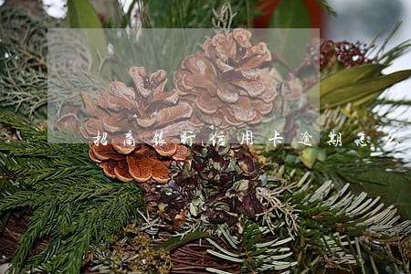 招商银行信用卡逾期怎么收利息 招商银行信用卡逾期怎么收利息