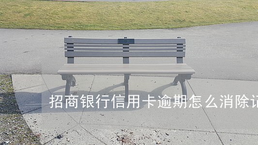招商银行信用卡逾期怎么消除记录