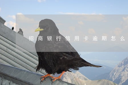 招商银行信用卡逾期怎么补救